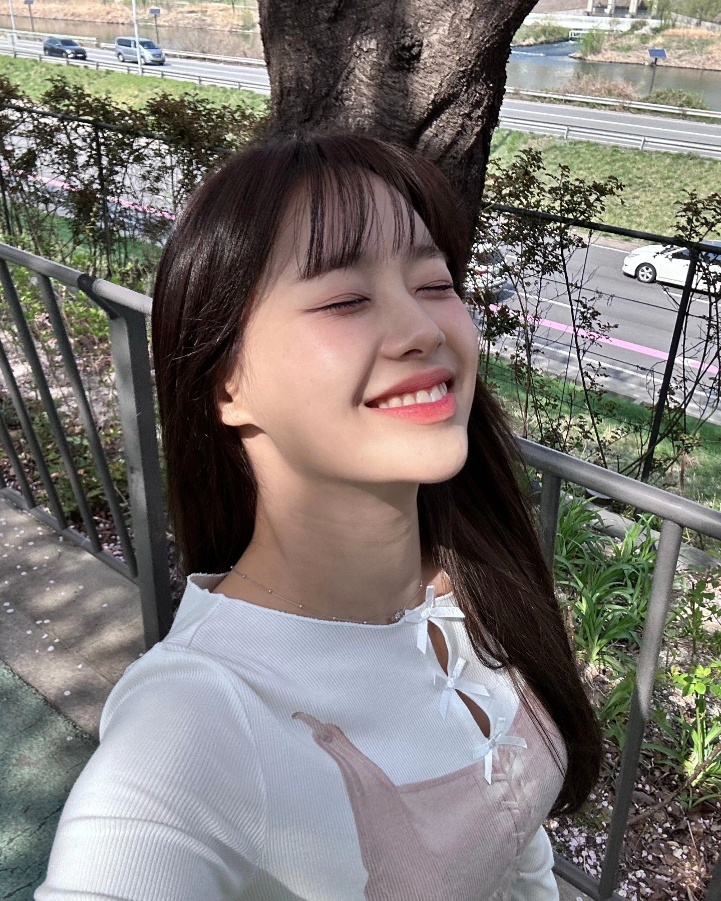 [연예] 츄