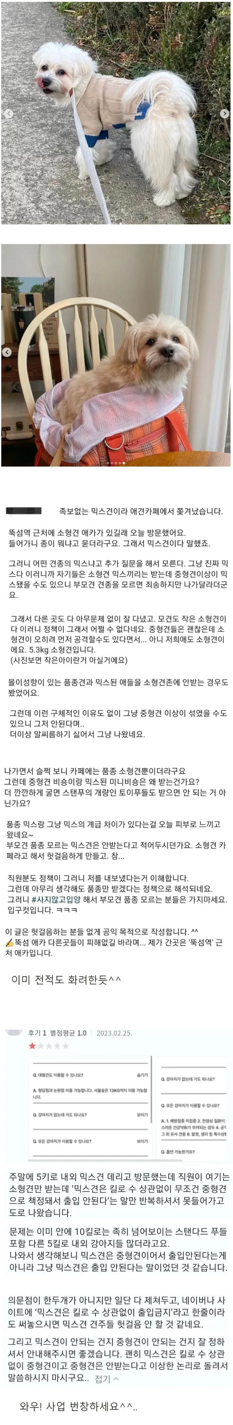 믹스견이라고 입장 거부 한 애견 카페