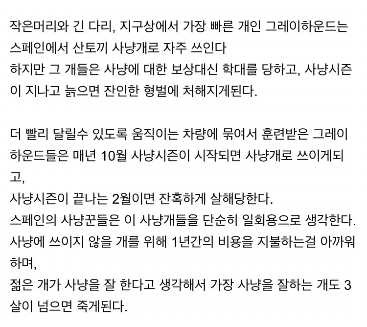 개고기 안 먹는 유럽에서 사냥개 죽이는 방법