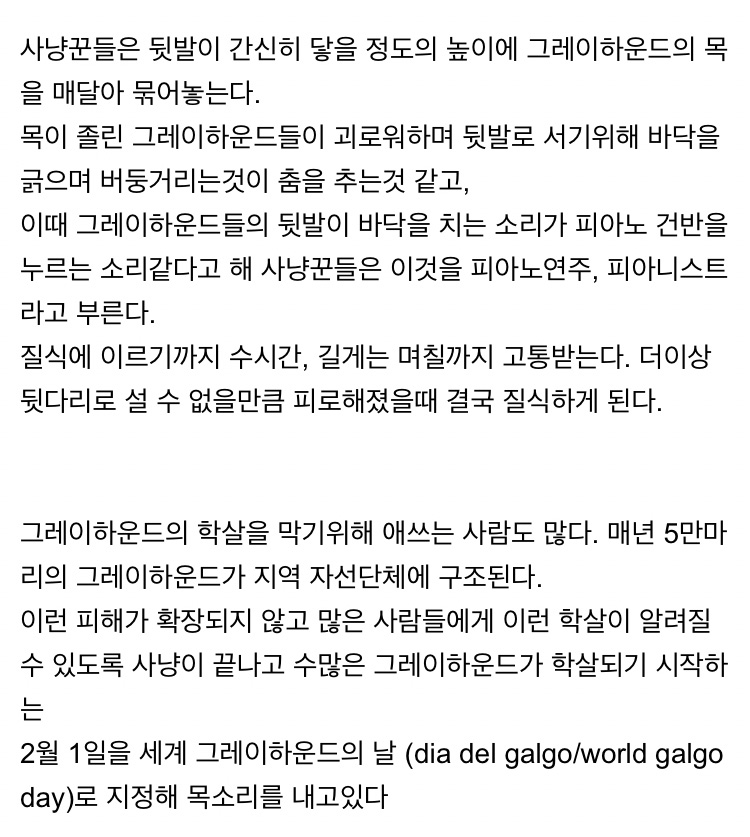 개고기 안 먹는 유럽에서 사냥개 죽이는 방법