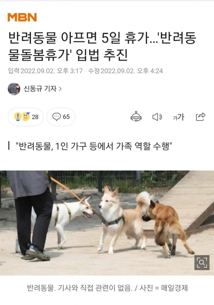 반려동물 돌봄 휴가