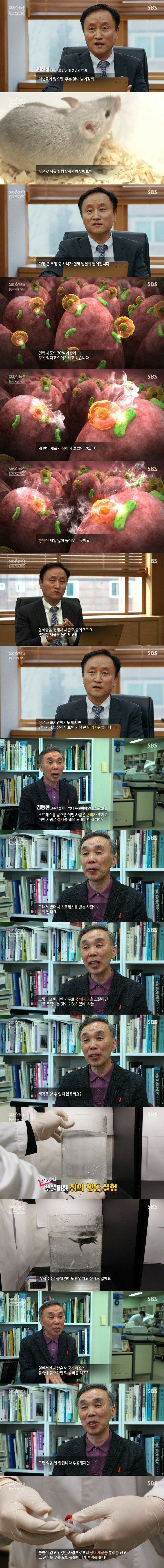 제2의 뇌라고 불리는 중요 신체 기관