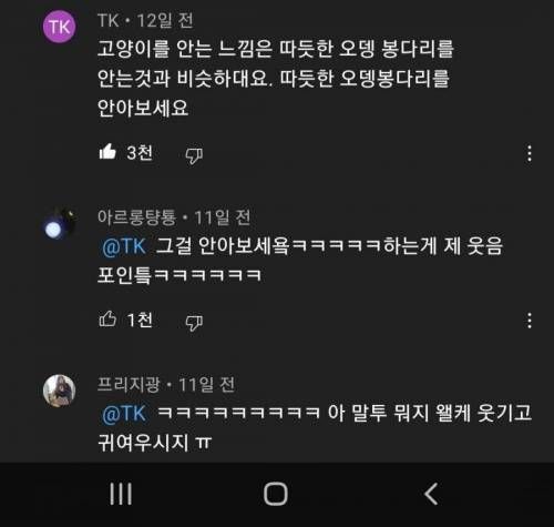 고양이 안는 느낌이 궁금할때