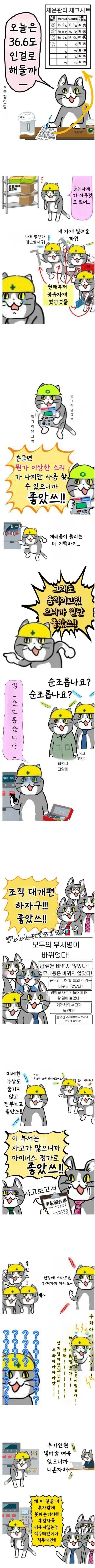 일본 중소기업 킹냥이 만화