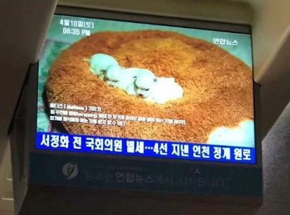 외국인들 시선에서 바라본 대한민국