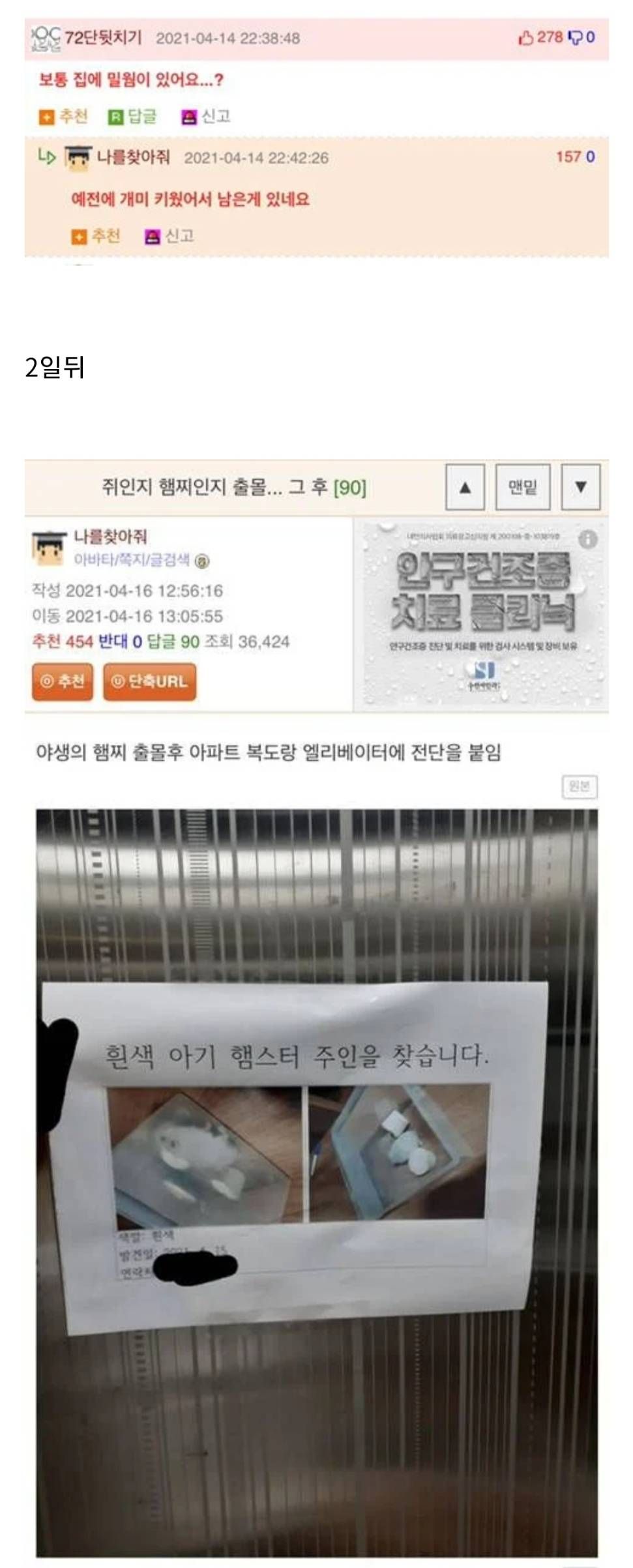 집에서 쥐가 나왔는데 햄스터 같기도 하고