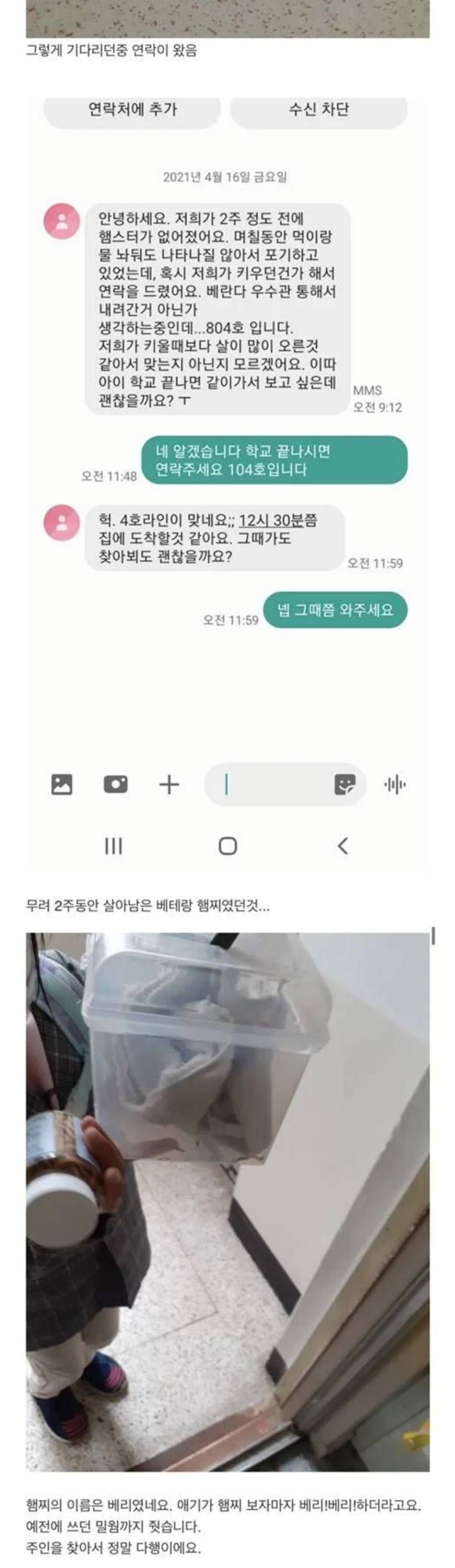 집에서 쥐가 나왔는데 햄스터 같기도 하고