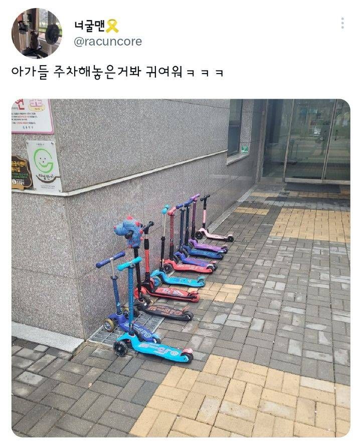 공유 킥보드 타는 사람들이 배워야 하는 것