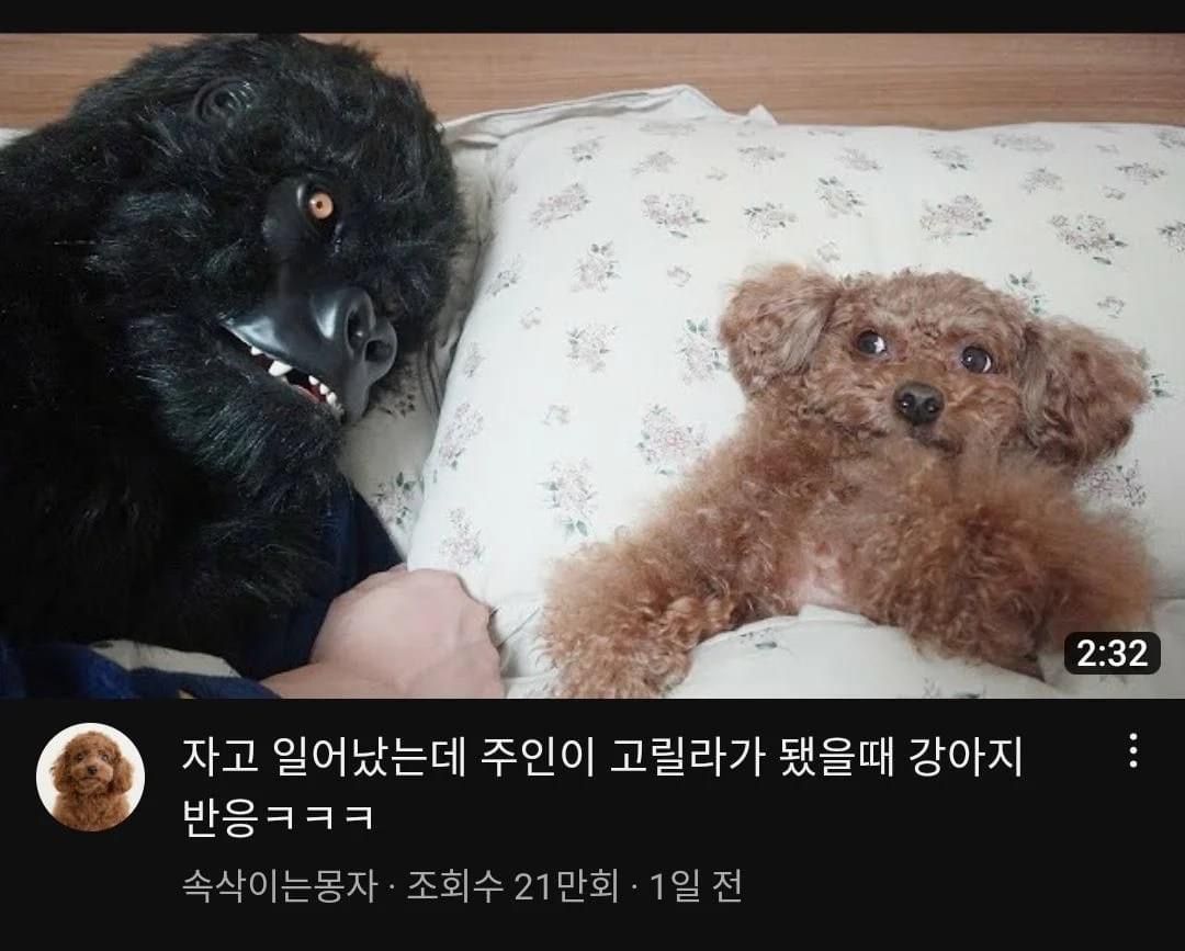 썸네일 맛집이라는 어느 유튜버