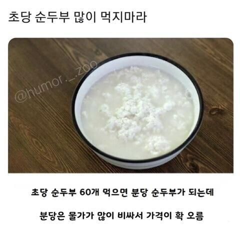 초당 순두부 많이 먹지 마라