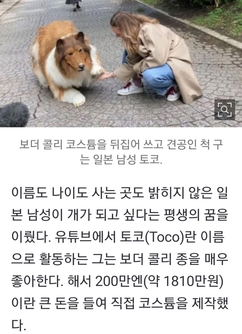 개가 되고 싶다” 특수의상에 2000만원 쓴 日남성,