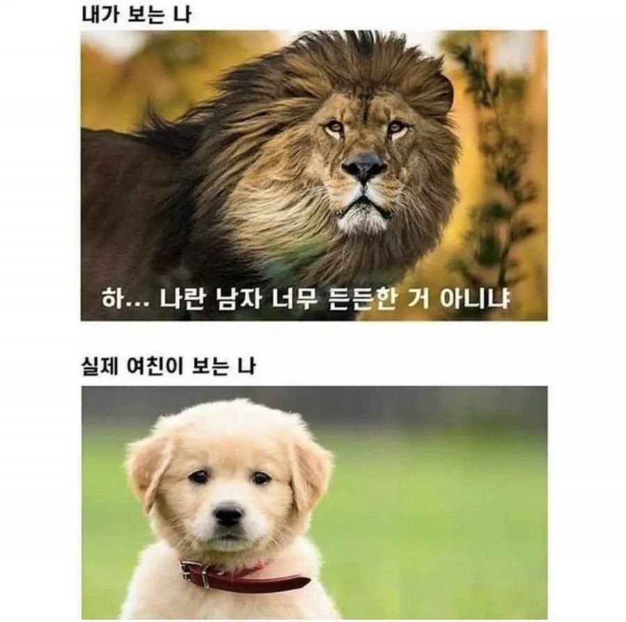 남자들의 흔한 착각