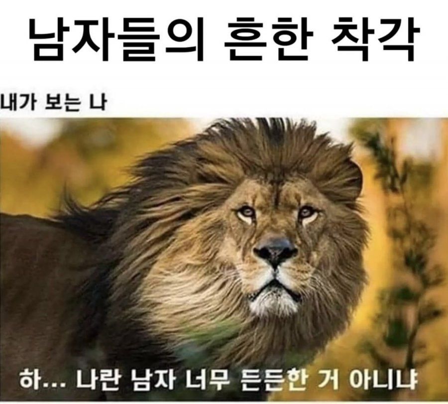 남자들의 흔한 착각