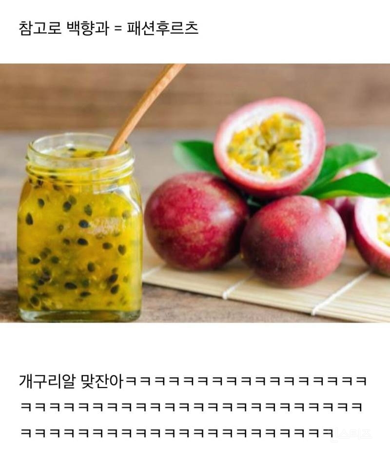 아저씨의 개구리알 두잔.