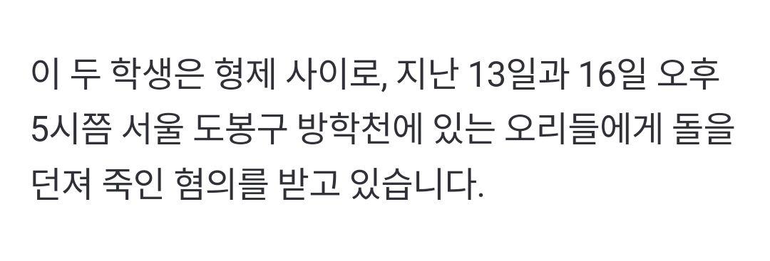 돌팔매질로 오리가족 죽였던 새기들 잡힘