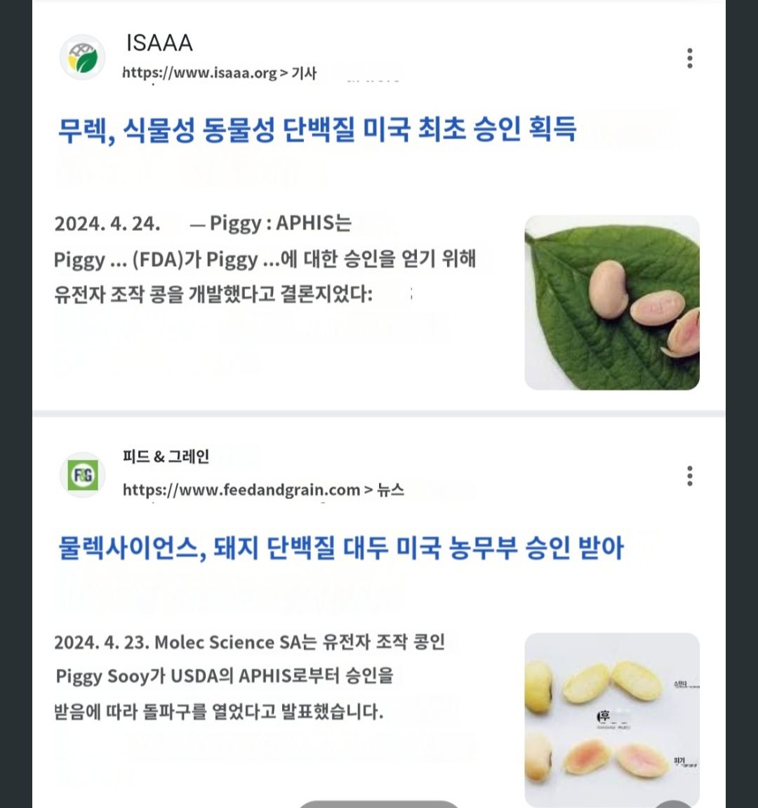 미국FDA 돼지고기 단백질이 함유된 곡물 승인!!