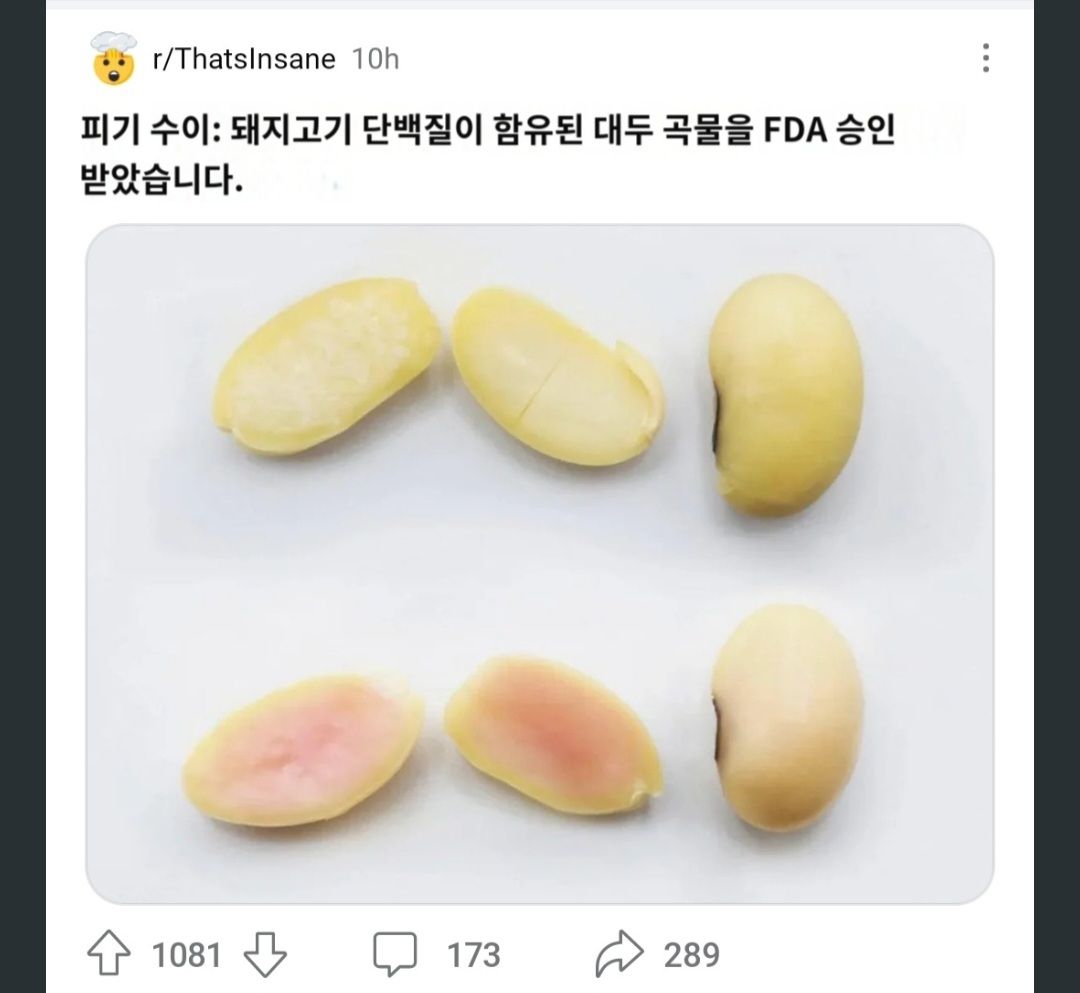 미국FDA 돼지고기 단백질이 함유된 곡물 승인!!