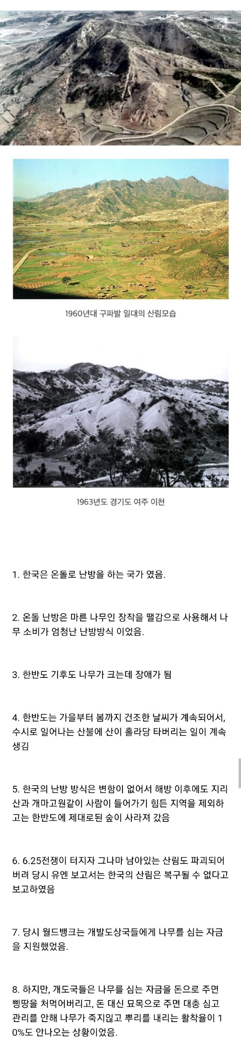 산림녹화에 성공한 유일한 나라