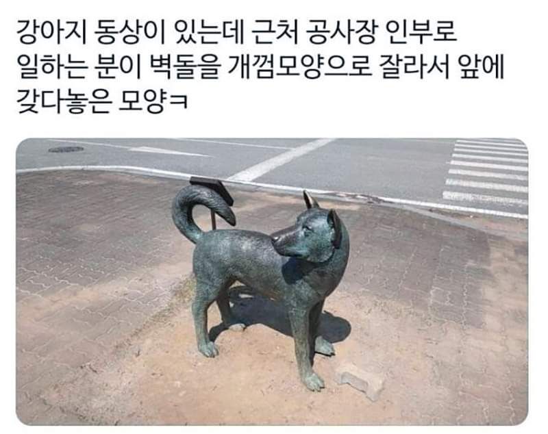 강아지 동상을 설치하자 일어난 일