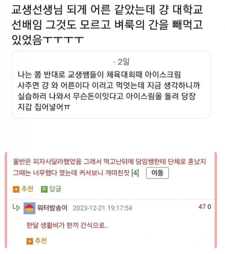 대학생이 되면 바뀌는 교생에 대한 인식