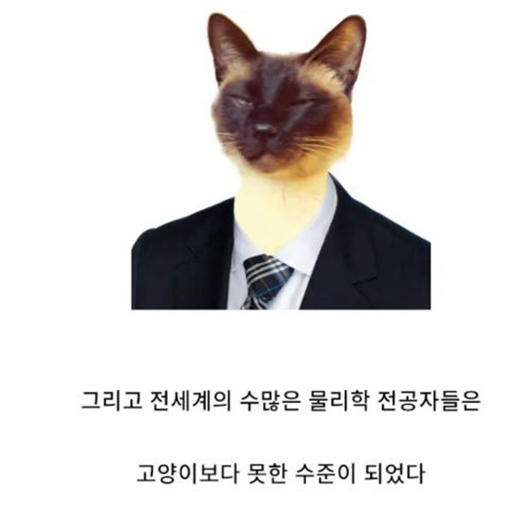 교수 잘 만나서 논문 저자된 썰