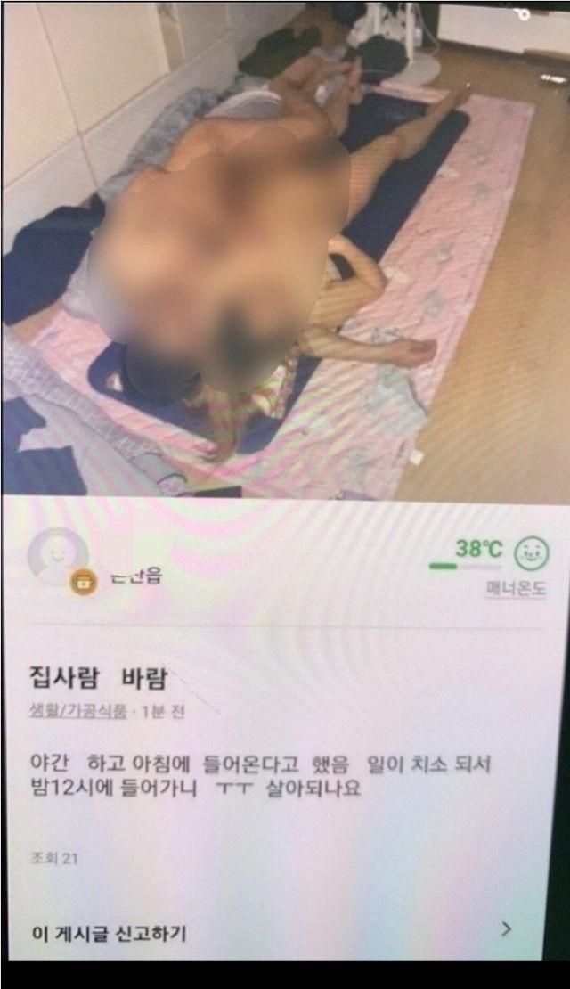 (약후경고) 당근 바람