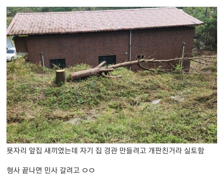 명절 증조부묘 대참사