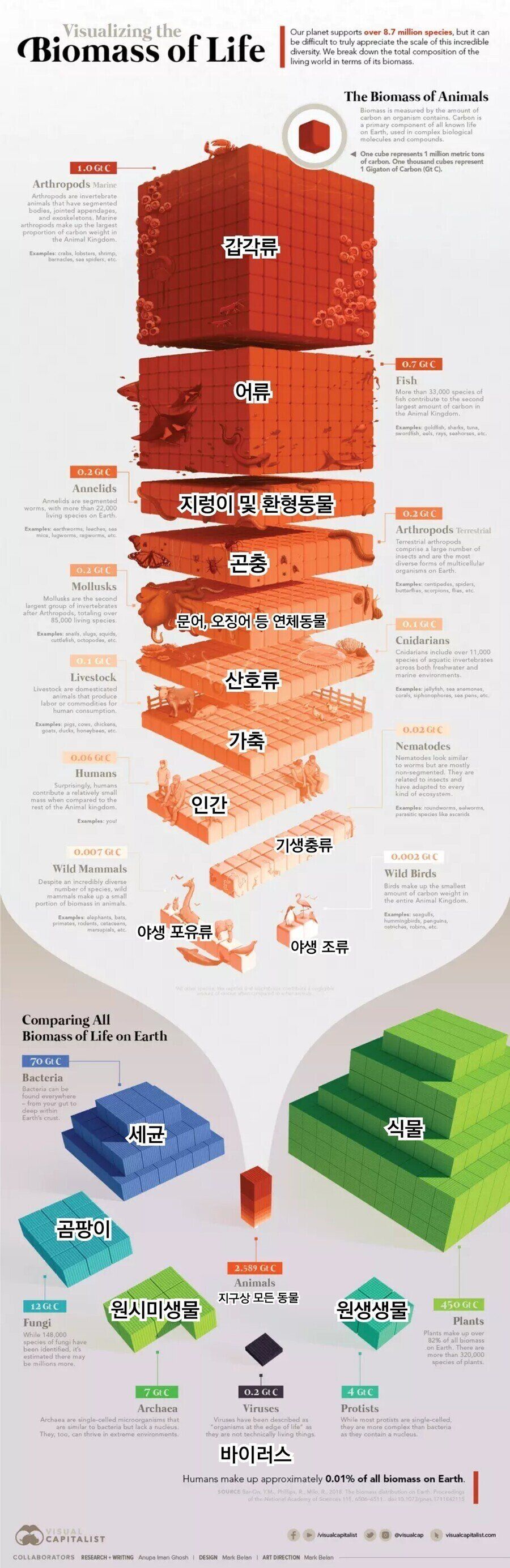 무게 기준, 세상에서 가장 많은 생물