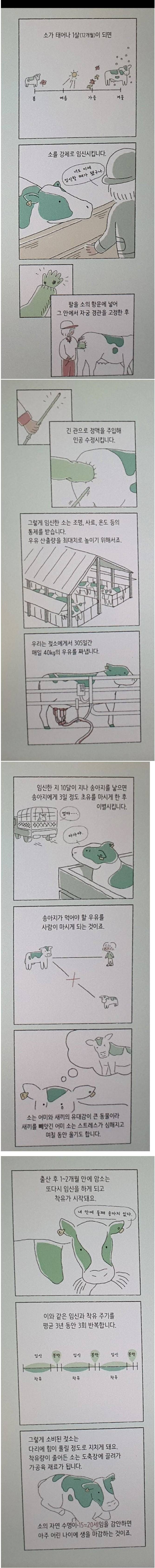 인간이 젖소에게서 우유를 짜내는 방법