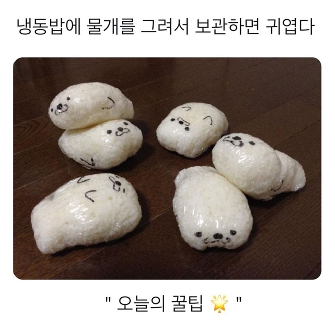 냉동밥 보관 꿀팁