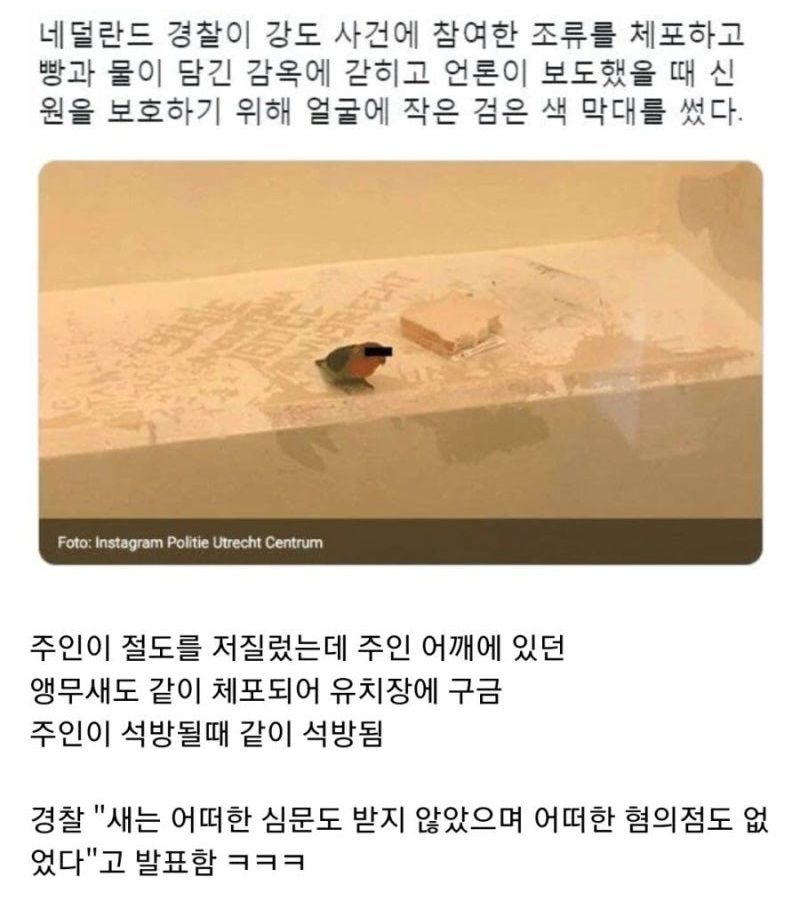 체포된 앵무새