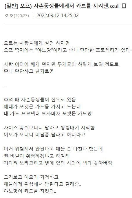 추석 때 사촌 동생들에게서 카드를 지켜낸 썰