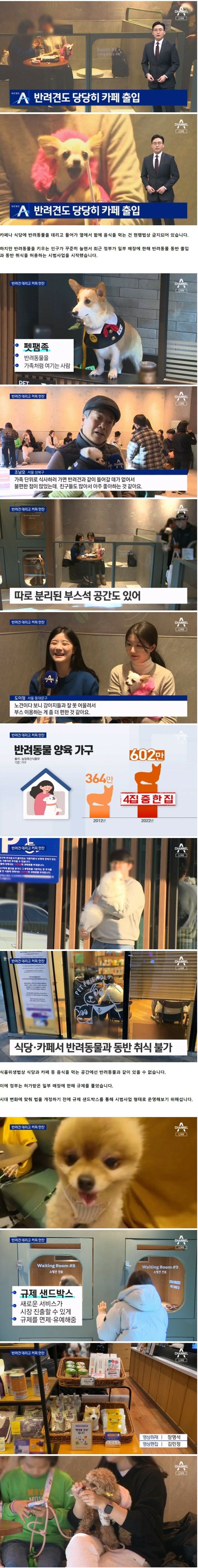 반려견도 당당히 카페 출입