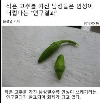 작은 것들은 인성이 더럽다