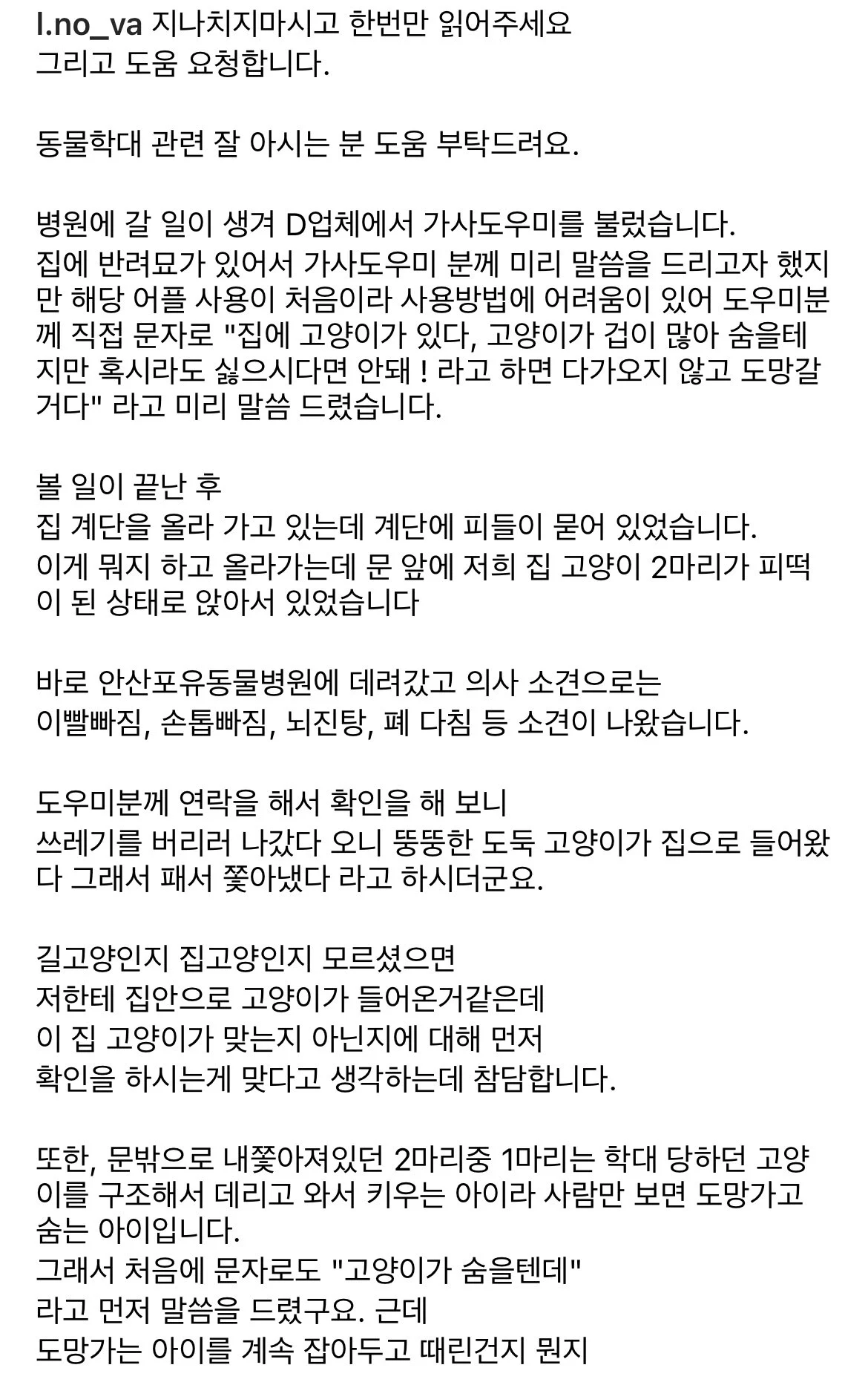 혐) 가사도우미 불렀더니 키우던 고양이 학대