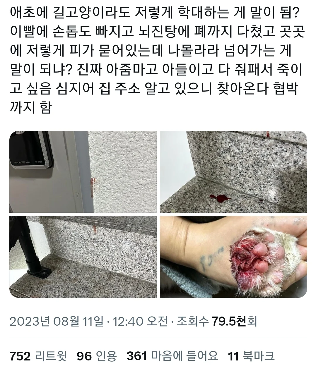 혐) 가사도우미 불렀더니 키우던 고양이 학대