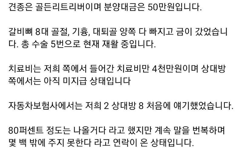 차로 개를 깔았는데 치료비 4천만원 나옴