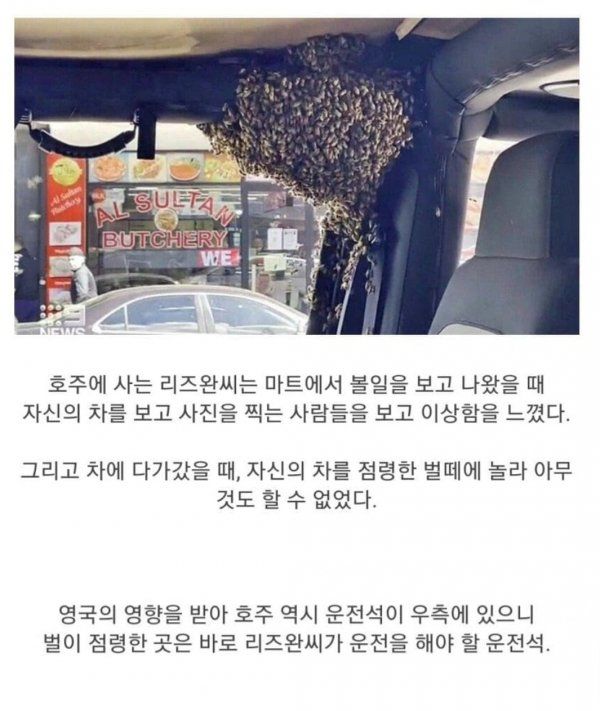 싱글벙글 지나가던 양봉업자