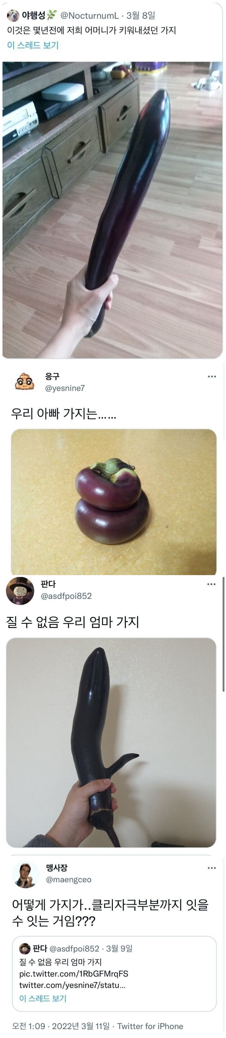 이상하게 생긴 가지 대회