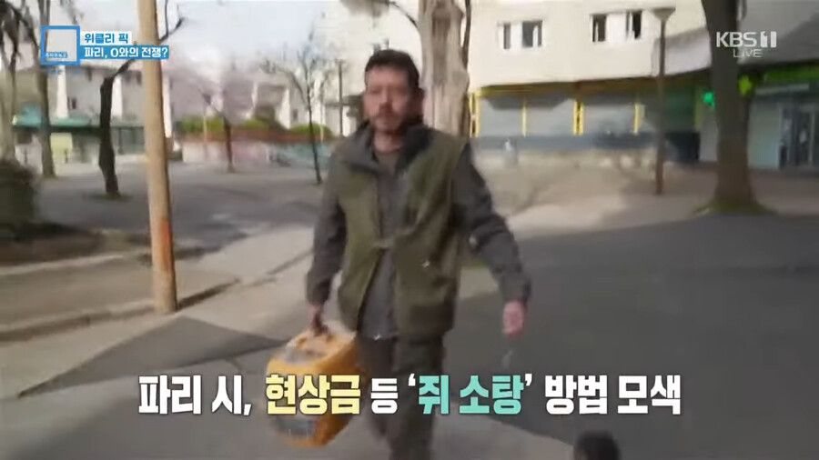 혐)프랑스 파리 쥐 근황