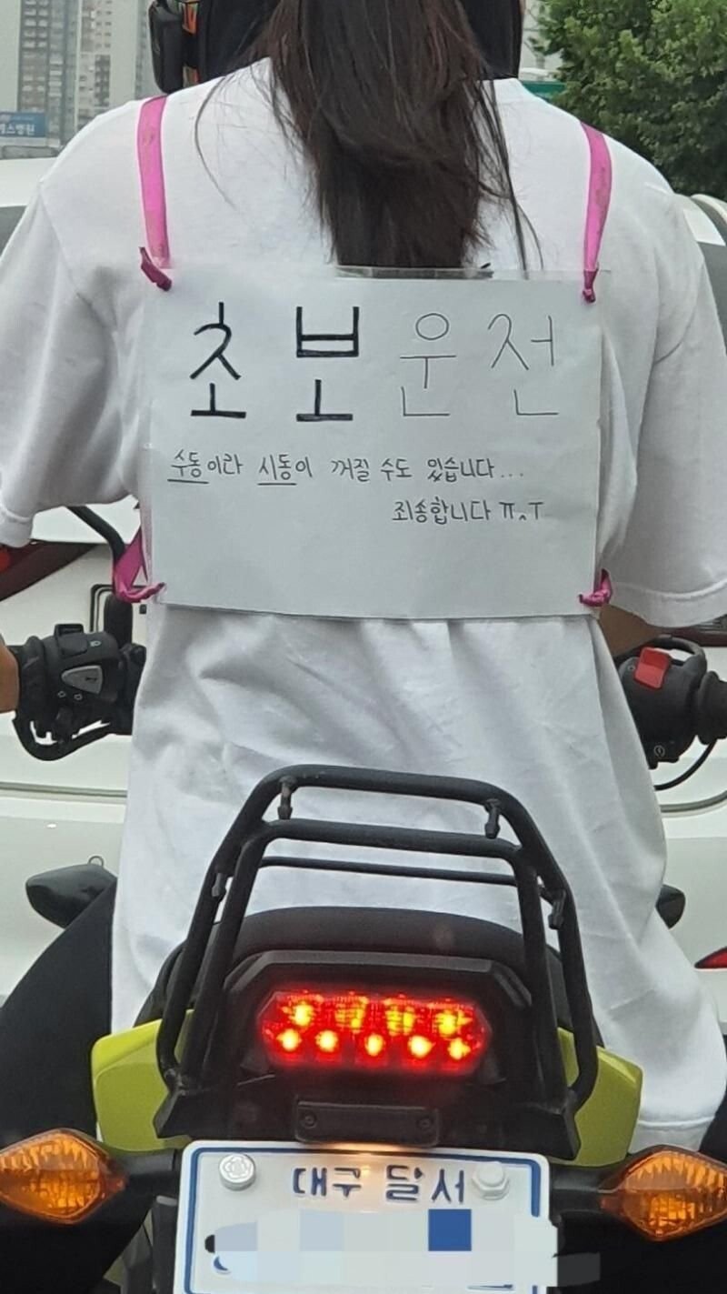 대구 초보운전 바이크녀