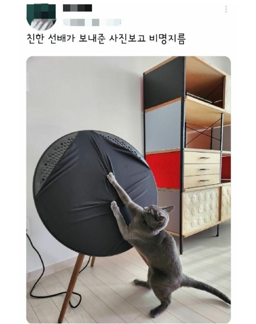 친한 선배가 보내준 사진 보고 비명 지름.