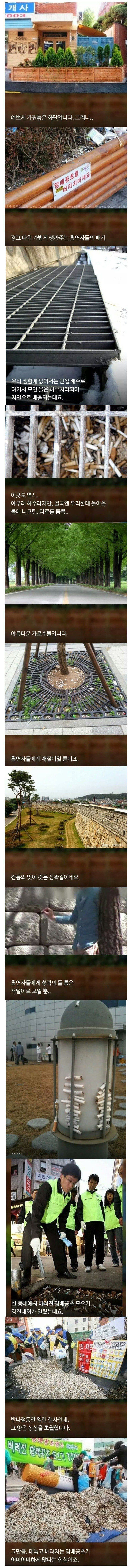 흡연충이라 불리는 이유