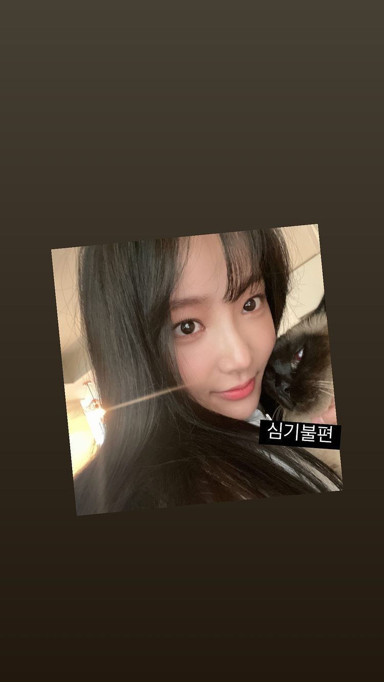 [연예] 연우