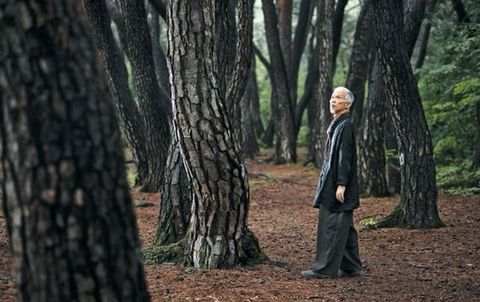 자신의 작품을 훼손한 어린이에 대한 70대 화가의 반응