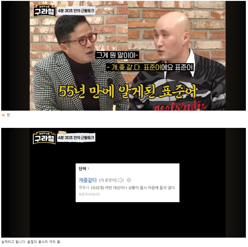 뉴진스님 속세에 계실때 표준어 실력