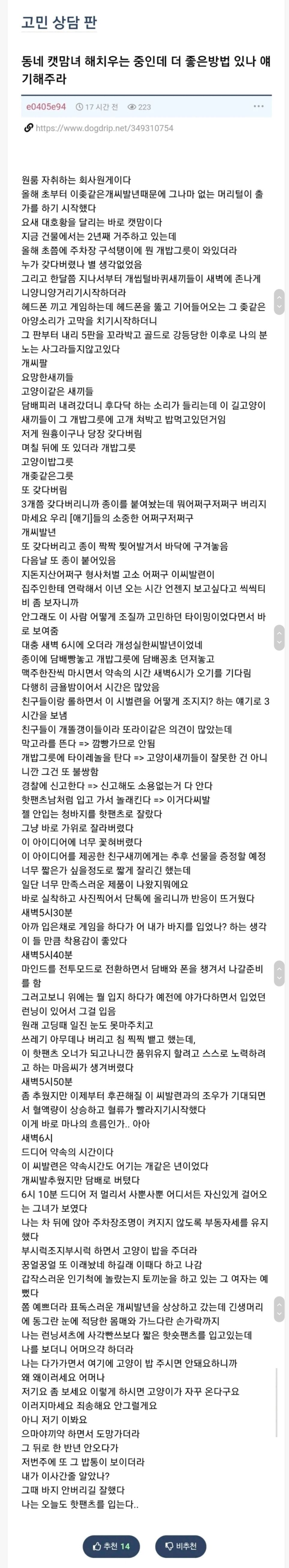 캣맘을 상대하다 괴물이 되어버림