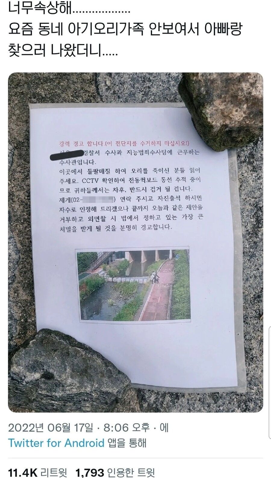 오리 가족이 안보여서 찾으러 다녔더니...