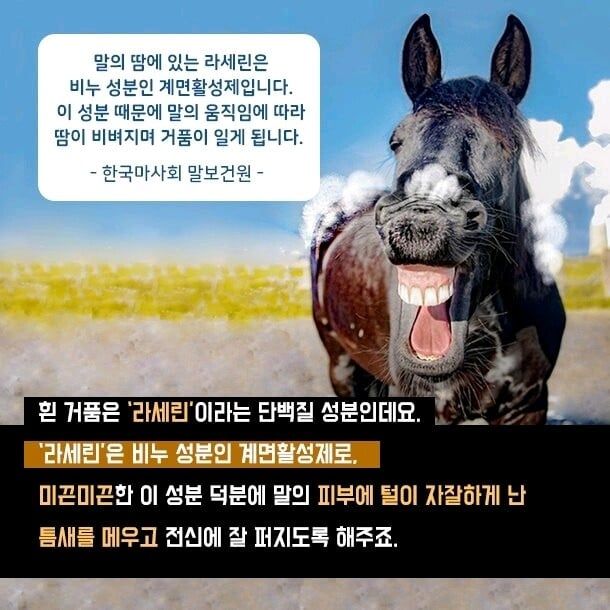 몸에서 비누가 나오는 동물