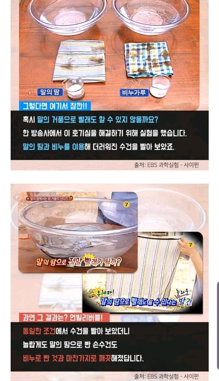 몸에서 비누가 나오는 동물